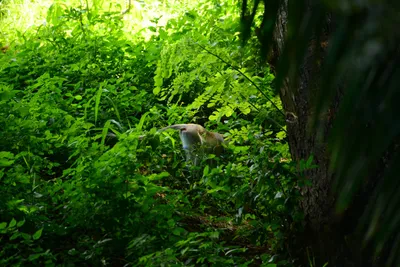 DSC_7863 (Large).JPG